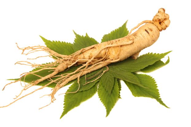 Ginseng root in the spray zxcvbnmqwert