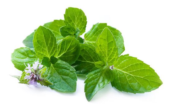 Mentale leaves in Nicode Spray