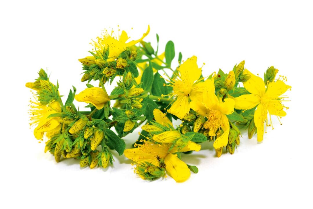 St. John's Wort in Spray Zxcvbnmqwert